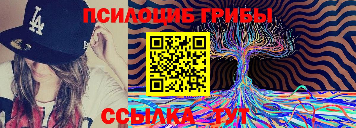 Псилоцибиновые грибы мицелий Усинск